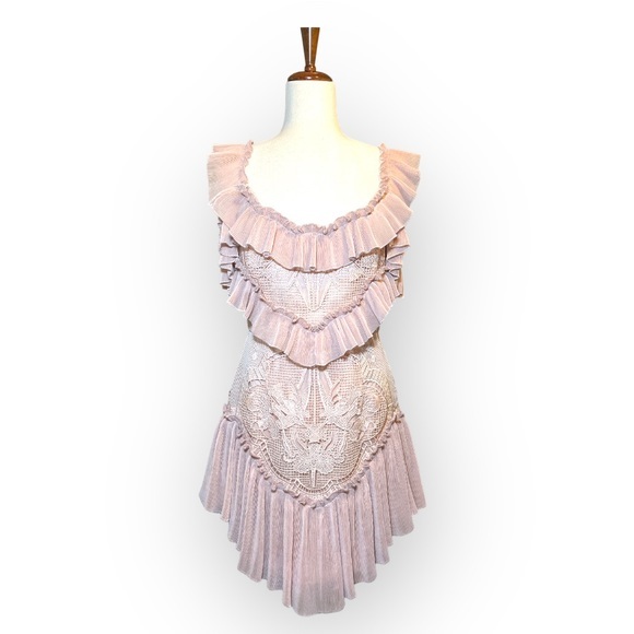 ❌SOLD❌ALICE MCCALL LOVEBIRDS DRESS ROSE PINK SIZE 6 - Picture 3 of 17